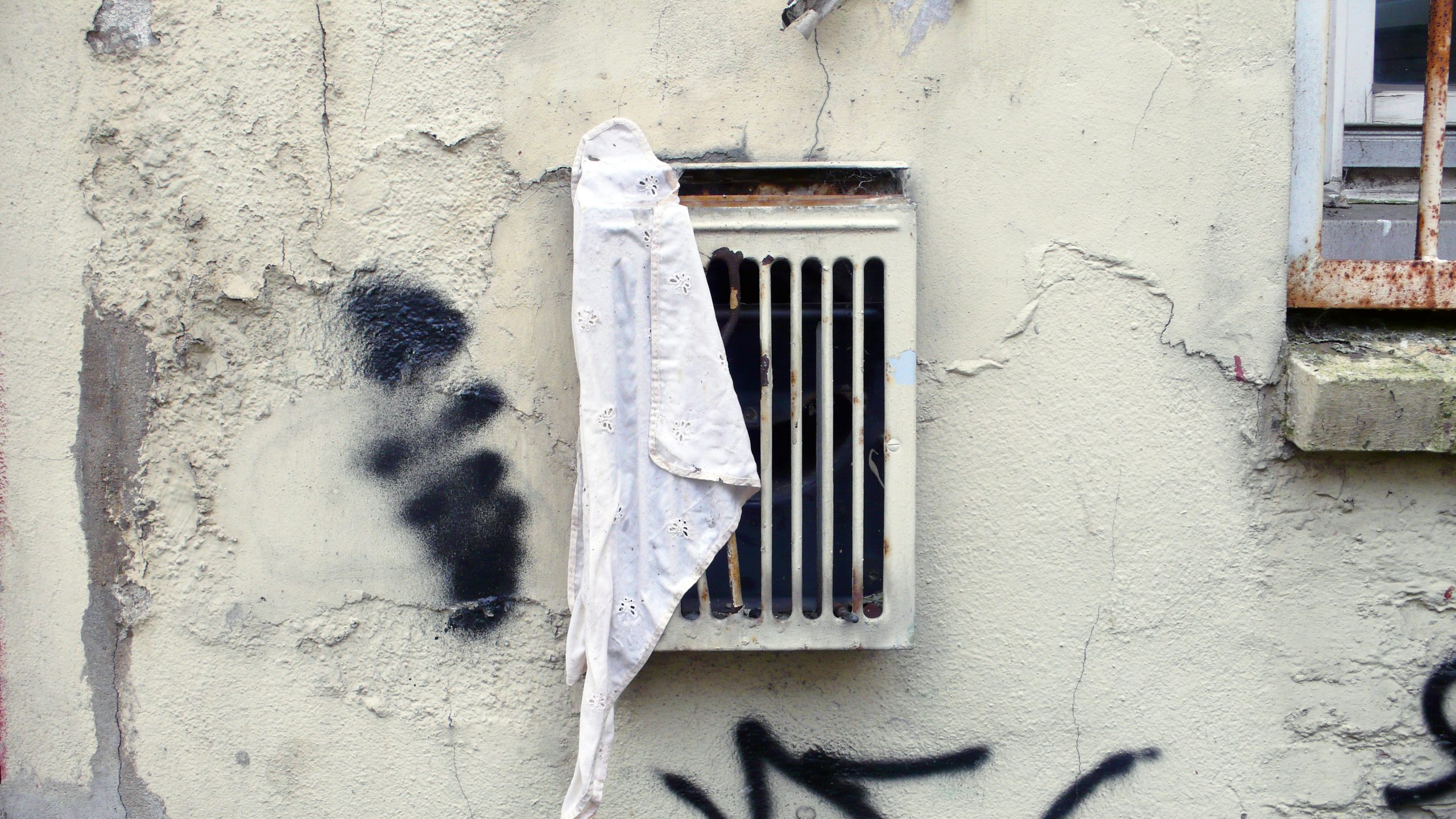 LeylaRodriguez_________