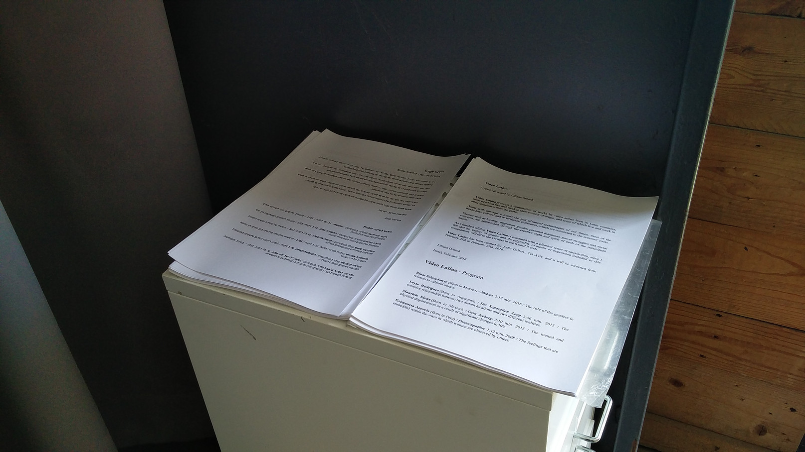 VIDEO LATINO curator and editor Lliliana Orbach