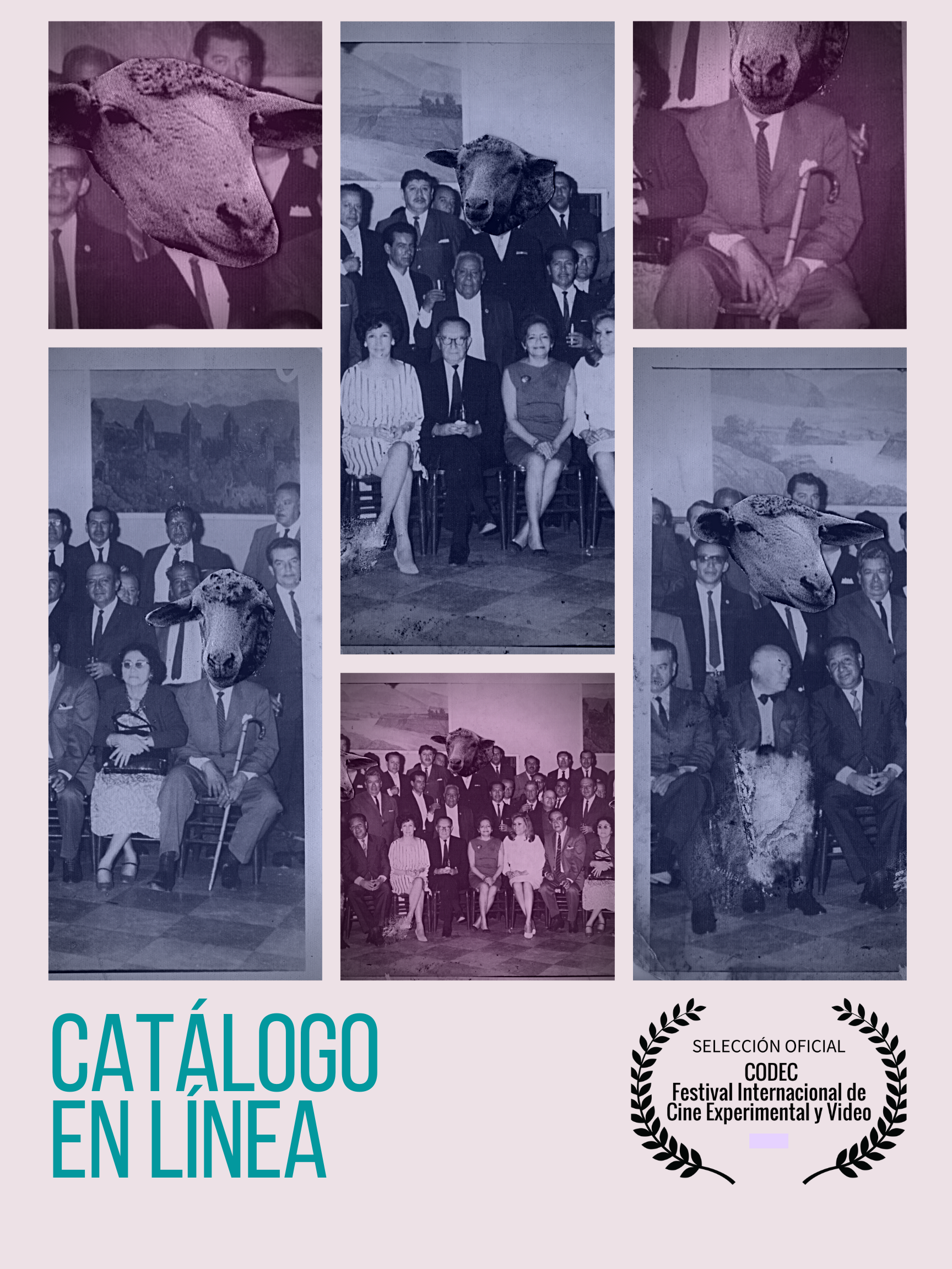 The Separation Loop @ the online Catalouge from the Festival Internacional de Cine Experimental Y Video