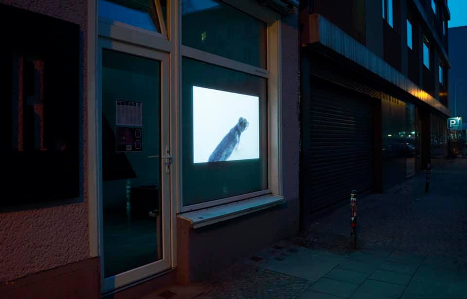 Optimistic Cover @ the Attaque(e)r le visible Experimentalfilmreihe – monatlich von März bis Dezember 2021 kuratiert von Lawinia Rate Programm: Videofest #1 27. – 28. März 2021 – keine Eröffnung / ab 12:00 / non-stop im Schaufenster