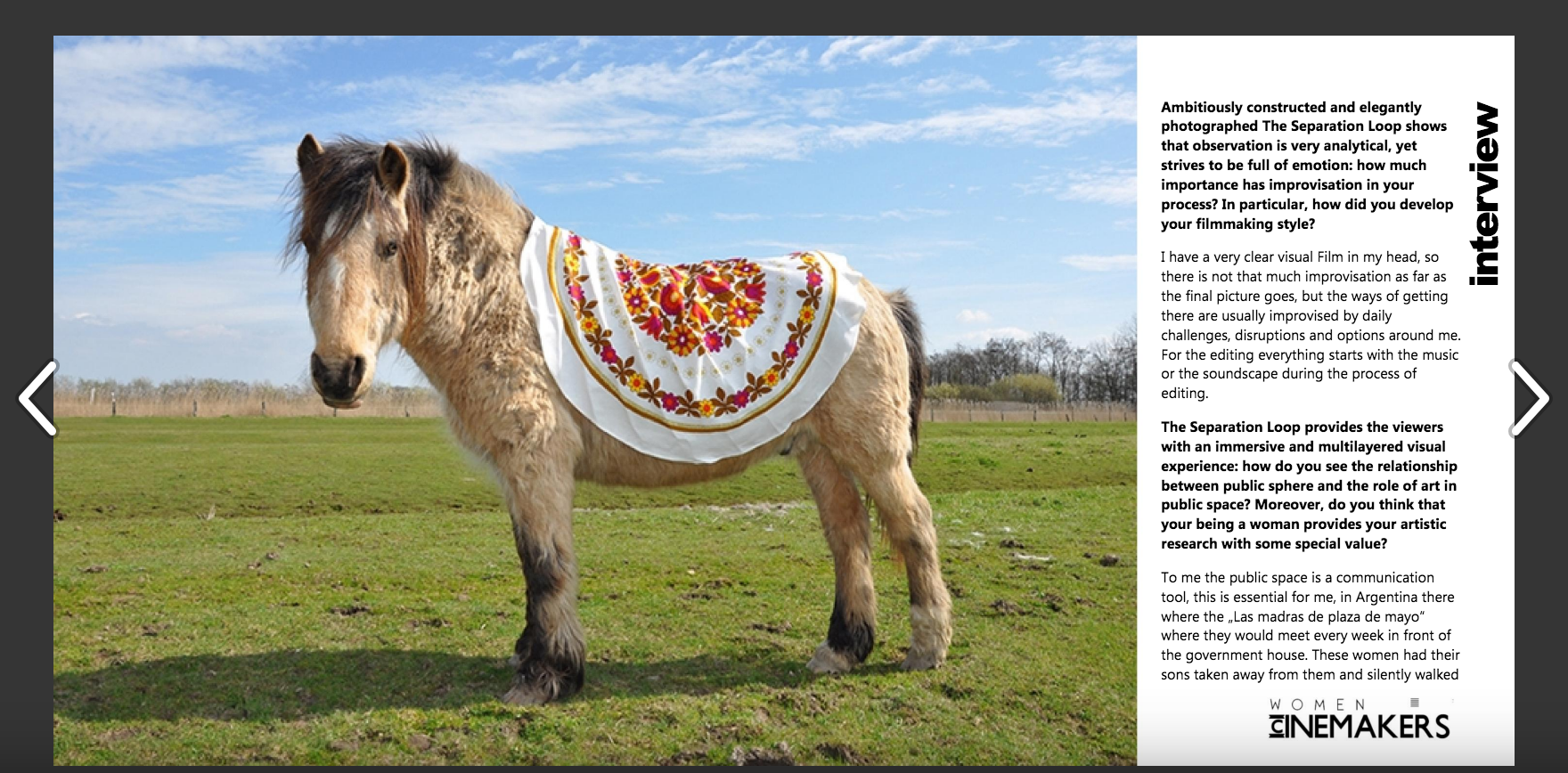 Leyla Rodriguez @ the Women CineMakers, Special Edition, vol 5 Published on May 22, 2015