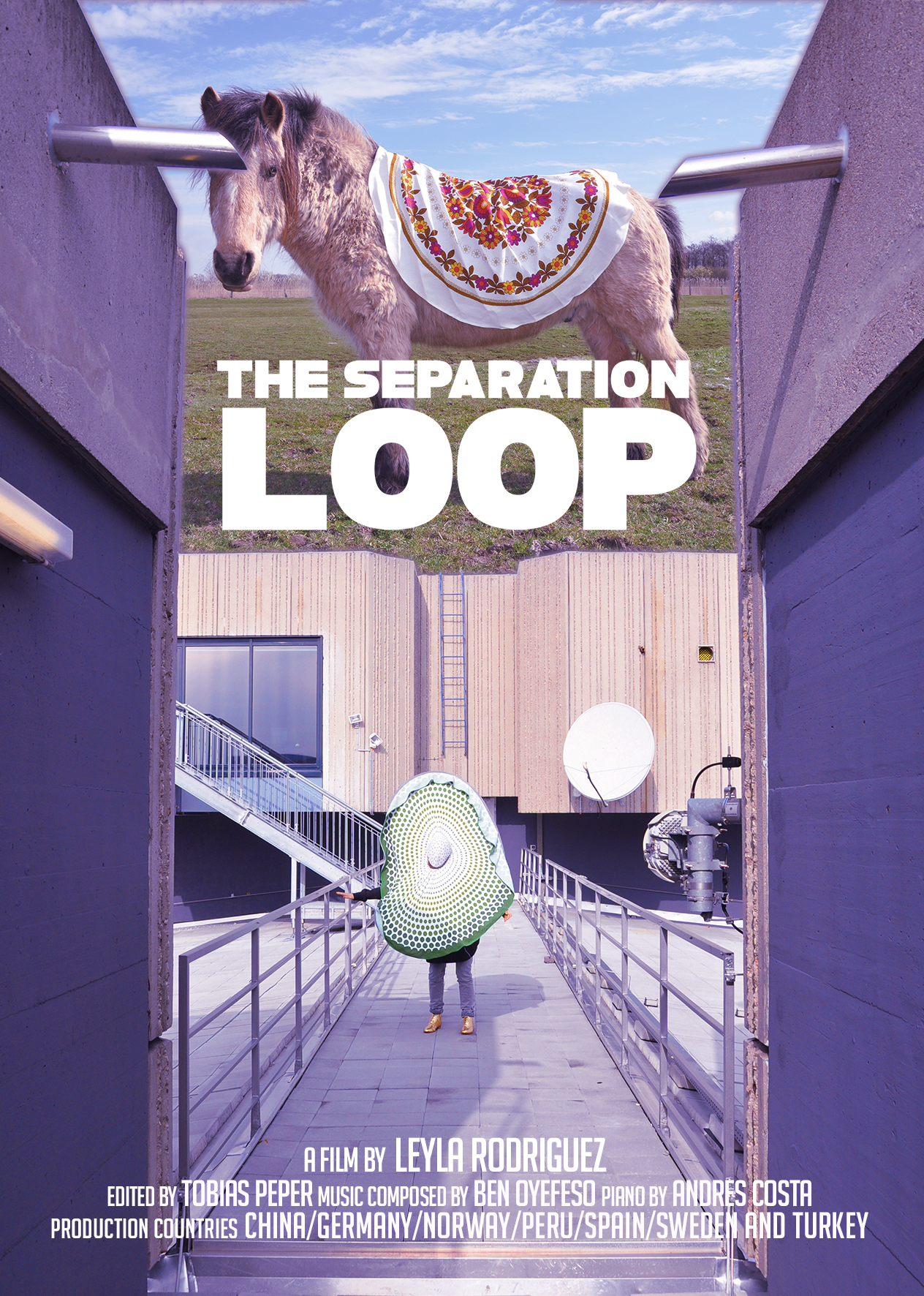 The Separation Loop @ the Video Vortex XI VV XI from 22-26 February, as a part o