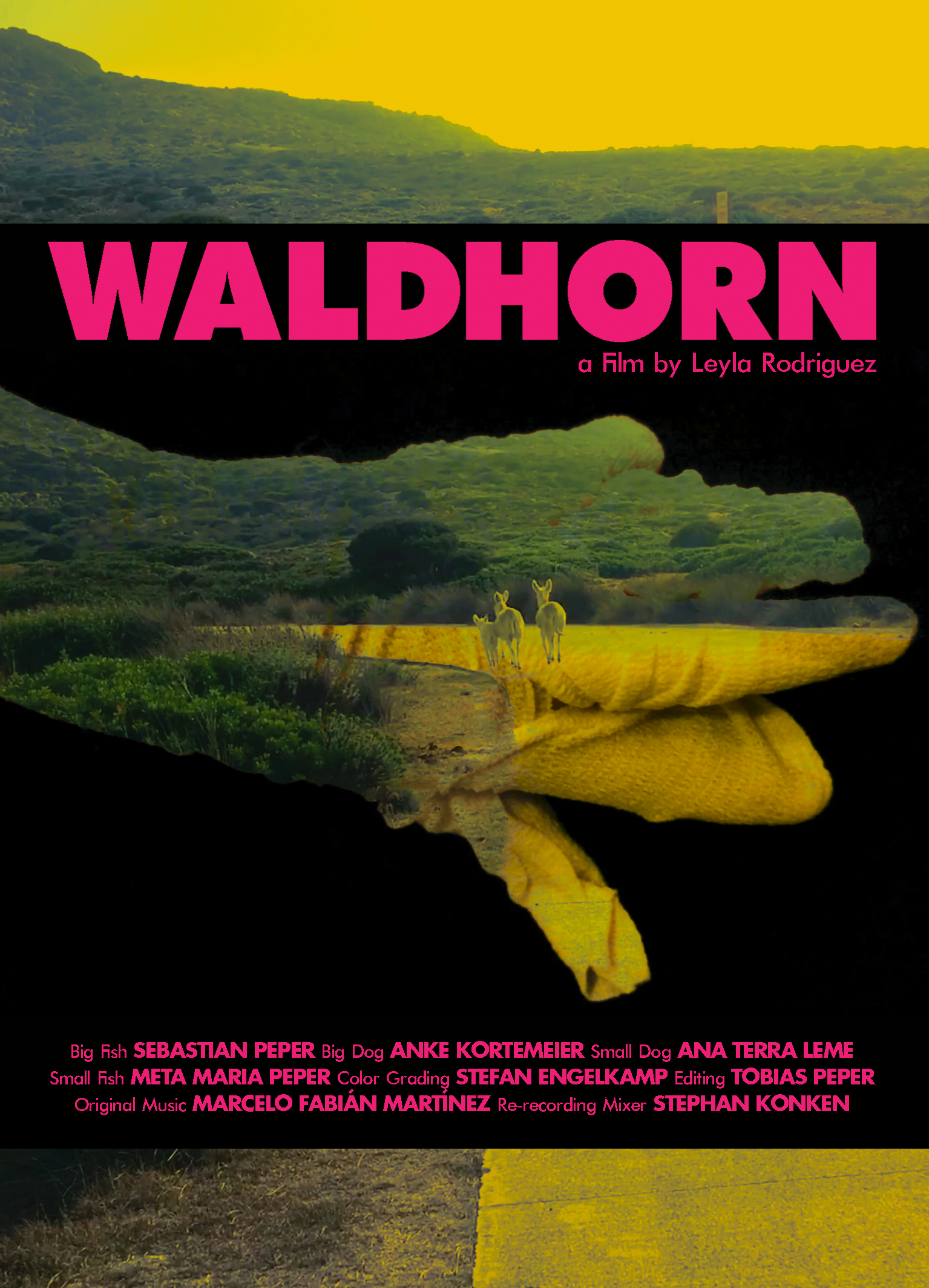 “WALDHORN” by Leyla Rodriguez will be screened on Thursday 15 at 17:11 at the “Sala della Ragione” in Asolo @ the Asolo Art Film Festival/ ITALY