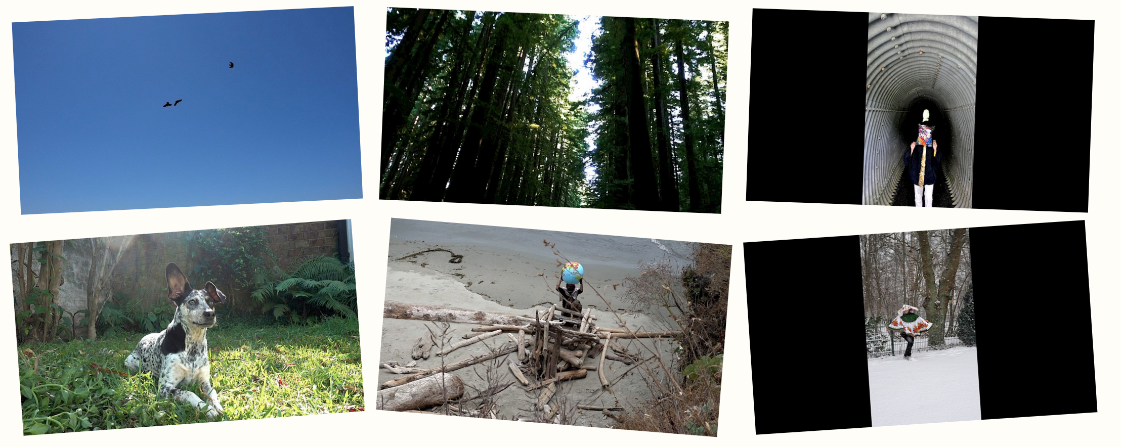 Bildschirmfoto 2025-05-02 um 11.59.47