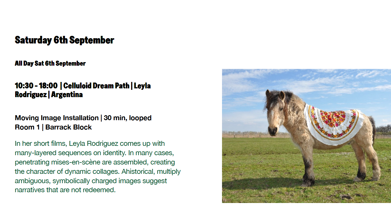 CELLULOID DREAM PATH @ Barrack Block, Room 1, Sat 6th September 2025, Elavation Film Festival, Cornwall, UK