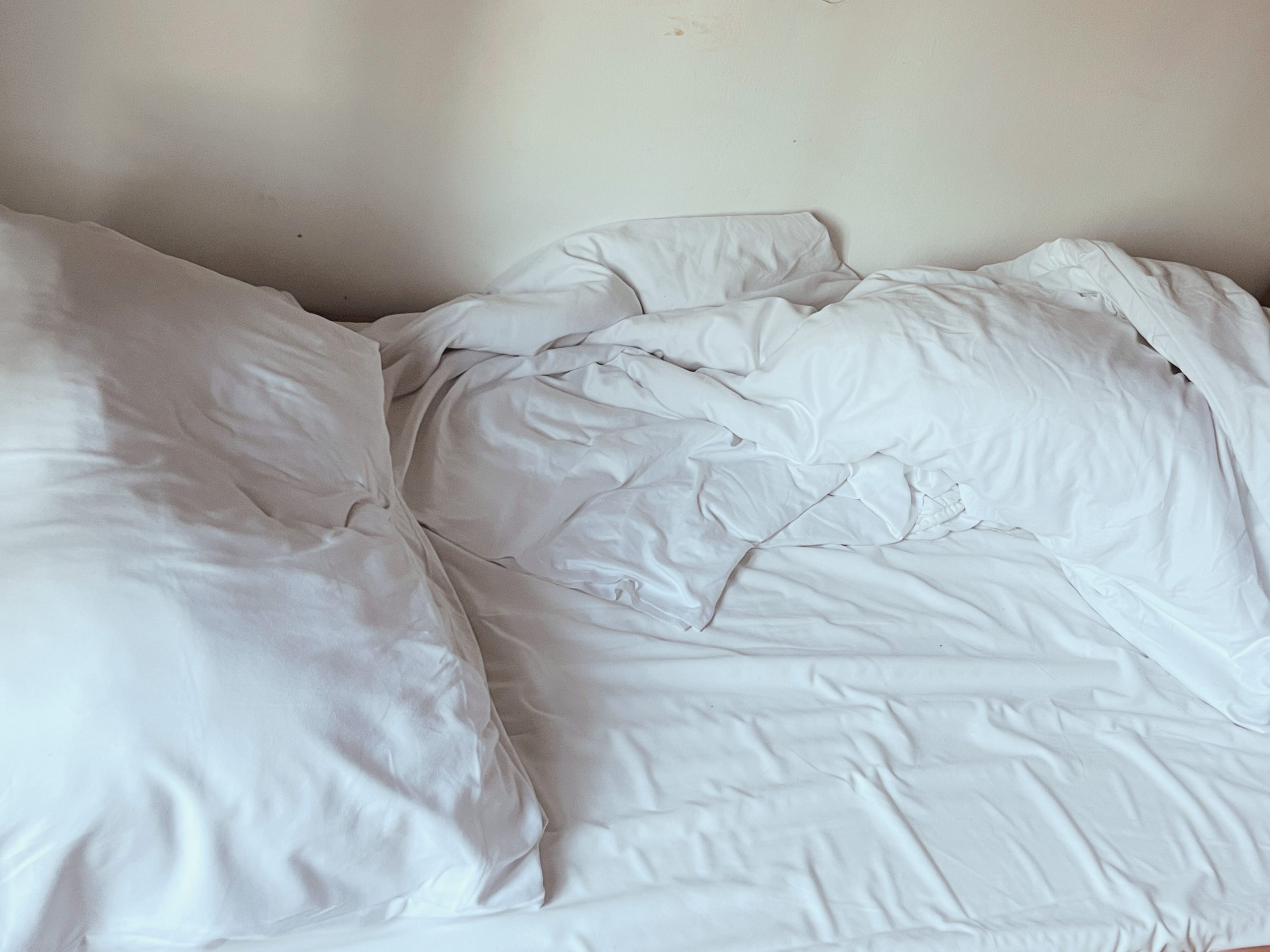 INTERIOR LANDSCAPE No.338 (2025)