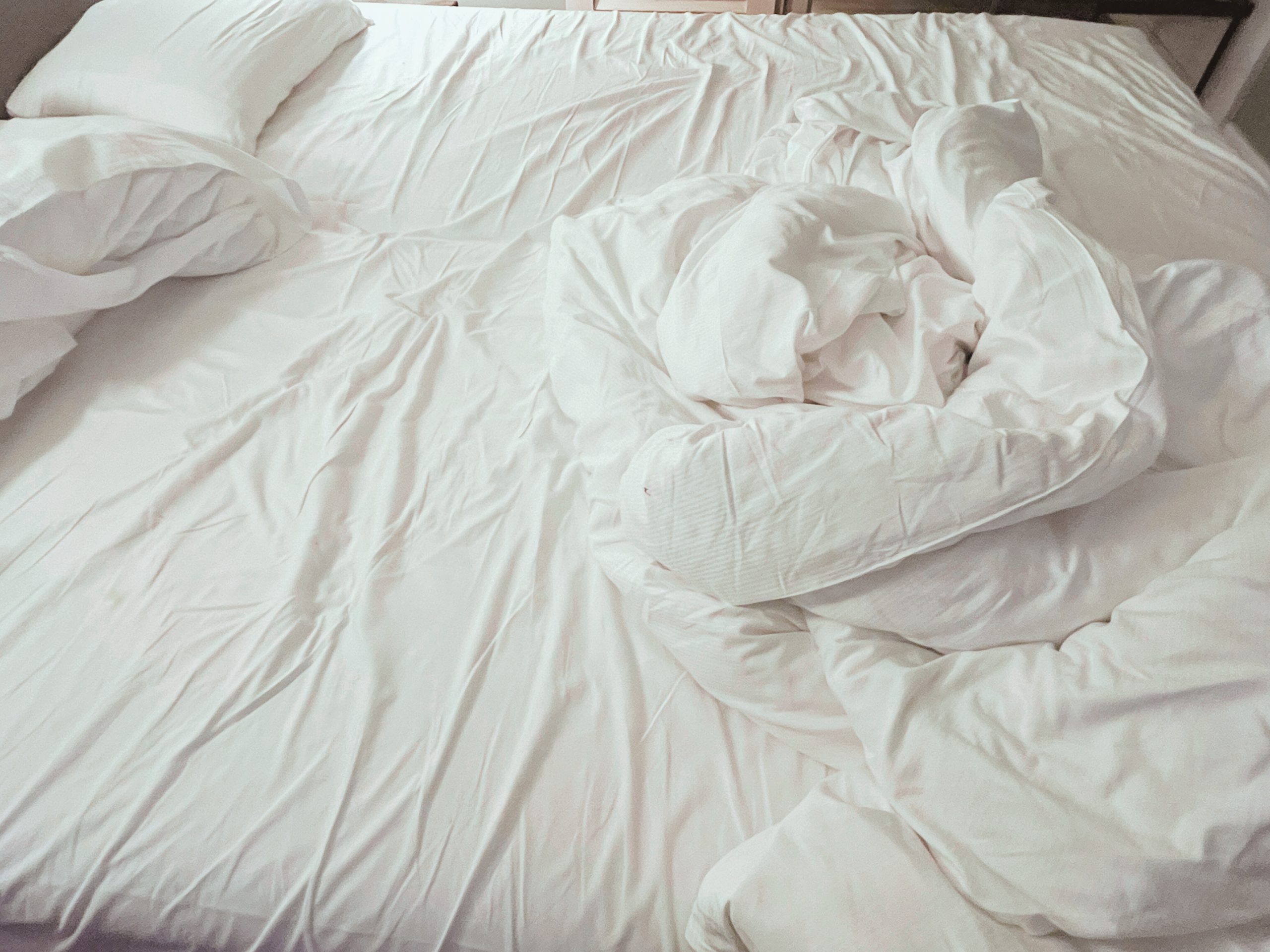 INTERIOR LANDSCAPE No.337 (2025)