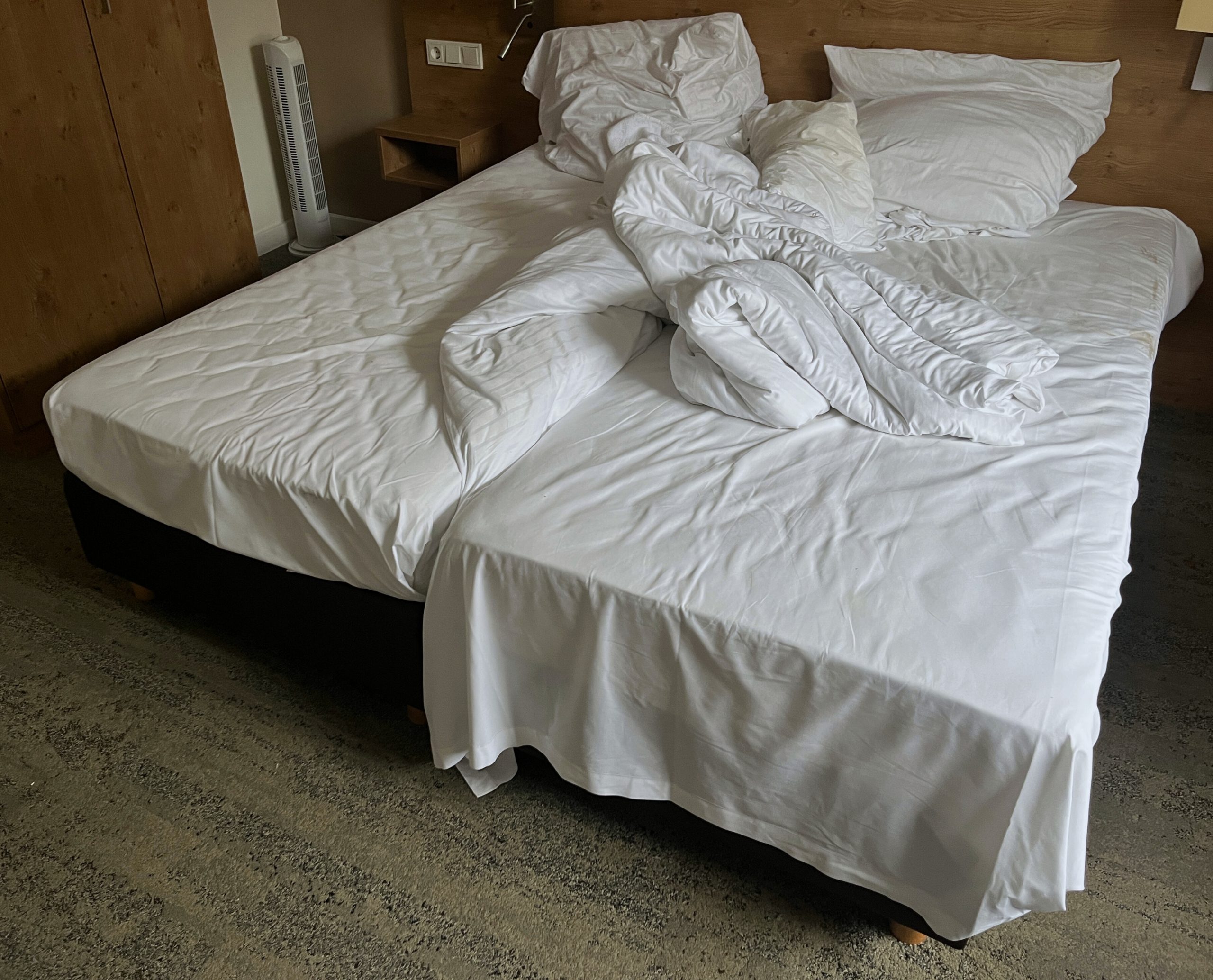 INTERIOR LANDSCAPE No.339 (2026)