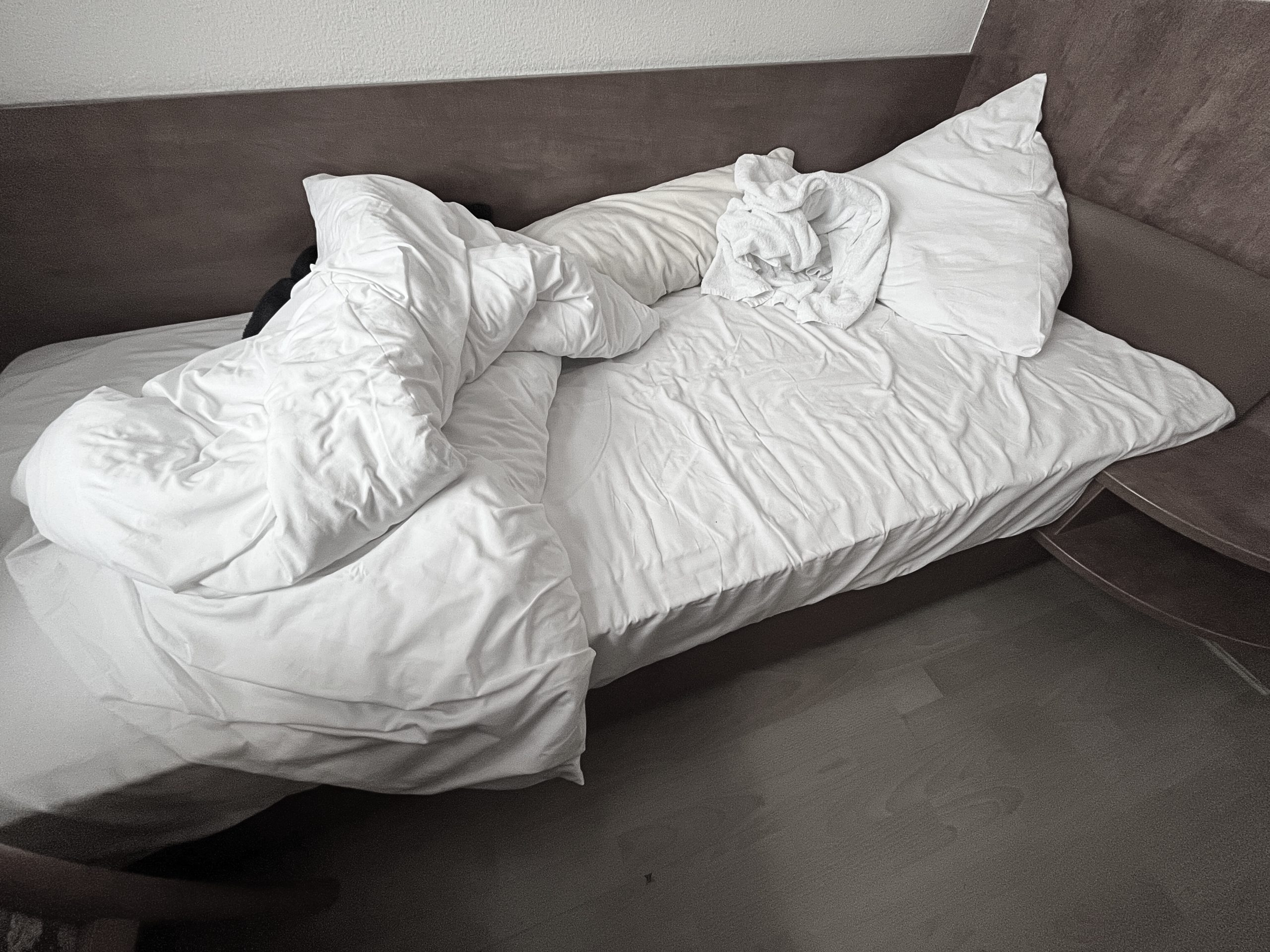 INTERIOR LANDSCAPE No.340 (2026)