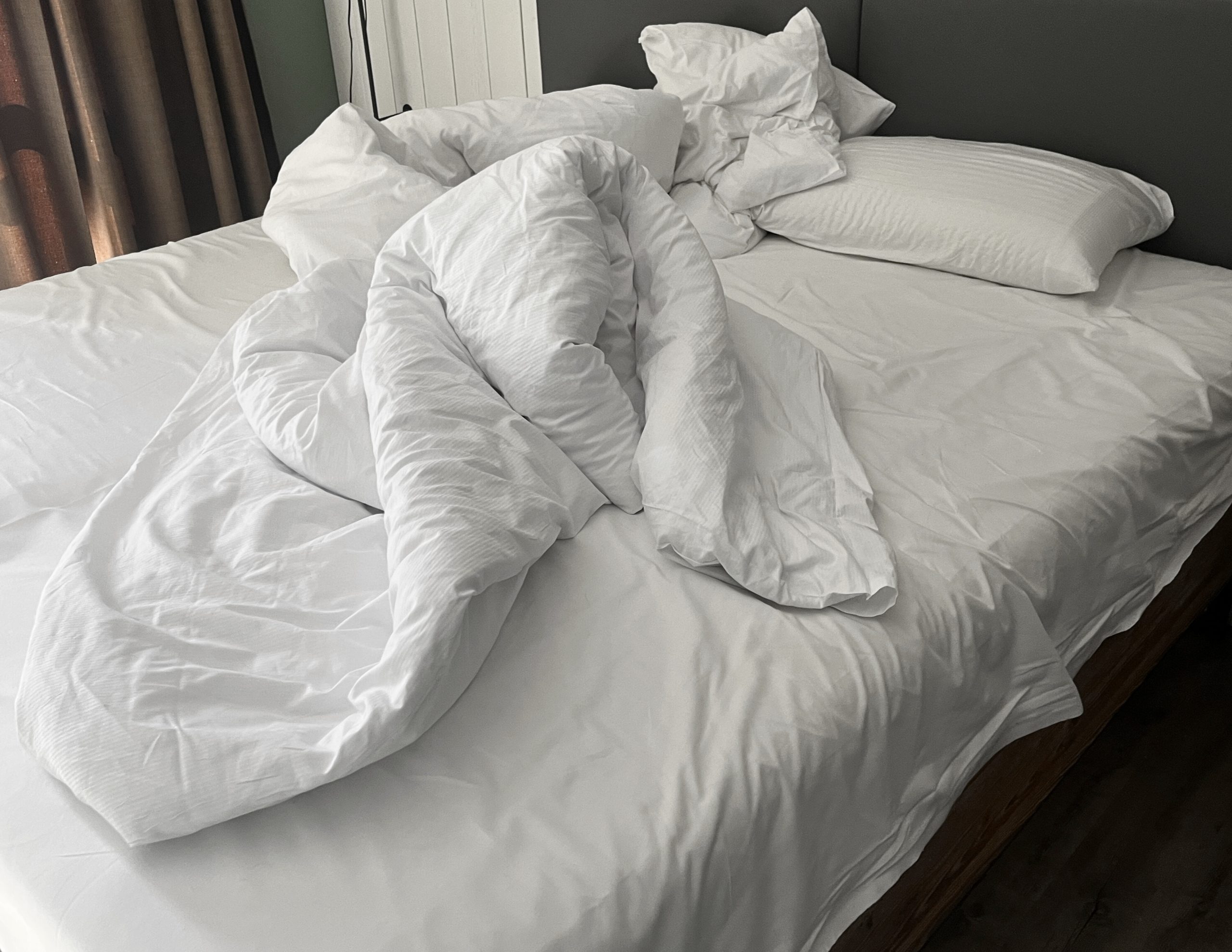 INTERIOR LANDSCAPE No.341 (2026)